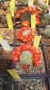 IMG-20210616-WA0026