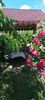 IMG-20210621-WA0025