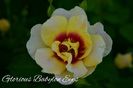 AddText_06-25-11.51.11