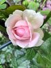 01EF85D7-1ED7-49BE-8AE7-D9600FB9917C