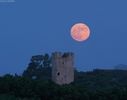 Strawberry moon - Luna plina in Capricorn - Atena