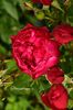 AddText_06-26-08.23.10