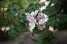 Pelargonium Unicorn Zonartic Spring