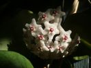 P1490440