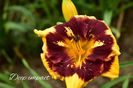 AddText_07-08-02.09.22