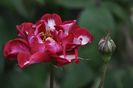 _DSC0056