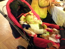 Picture 086