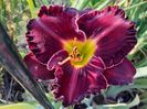 Purplelicious