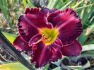 Purplelicious