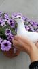 IMG-20210704-WA0001