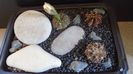 Grup de 3 Gymnocalycium
