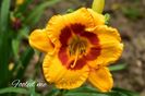 AddText_07-20-02.35.00