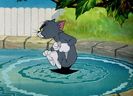Tom si Jerry