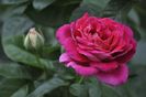 _DSC0189