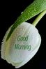 Good Morning Sunday 15 August ! 08:35 Clock