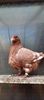 IMG-20210823-WA0006