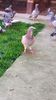 IMG-20210514-WA0046