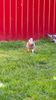 IMG-20210514-WA0047