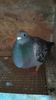 IMG-20210606-WA0027