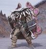 Power Rangers Mystic Force