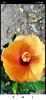 Screenshot_2021-08-15-01-38-58-492_com.facebook.katana