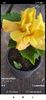Screenshot_2021-08-15-01-33-39-923_com.facebook.katana