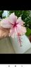 Screenshot_2021-08-22-23-12-42-603_com.facebook.orca