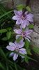 IMG-20190519-WA0000