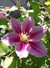 IMG-20190519-WA0001