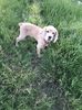 IMG-20190529-WA0006