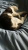 IMG-20181021-WA0001