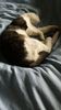 IMG-20181021-WA0002