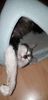 IMG-20181021-WA0004