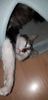 IMG-20181021-WA0005