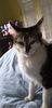 IMG-20181021-WA0010