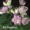 RS-Palmyra