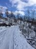 IMG-20210117-WA0021
