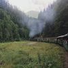 IMG-20200729-WA0019