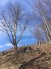 IMG-20200315-WA0003
