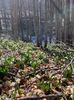 IMG-20210314-WA0034