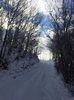 IMG-20210117-WA0020
