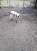IMG-20210314-WA0005
