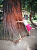 IMG-20210726-WA0016