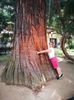 IMG-20210726-WA0010
