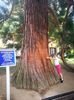 IMG-20210726-WA0007