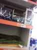 IMG-20210909-WA0097