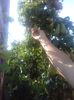 IMG-20210909-WA0101
