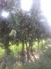 IMG-20210909-WA0100