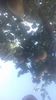 IMG-20210909-WA0103