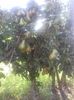 IMG-20210909-WA0102